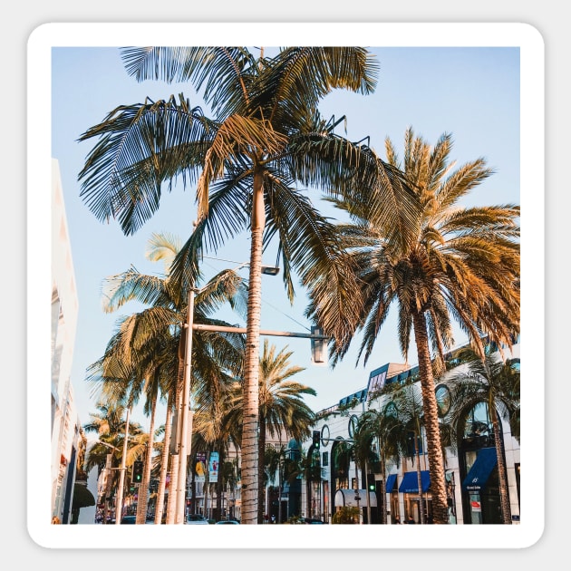 Palm Trees in Beverly Hills - Travel Photography Sticker by BloomingDiaries